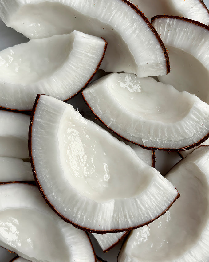 Castanha de Caju + Coco Orgânico 1L