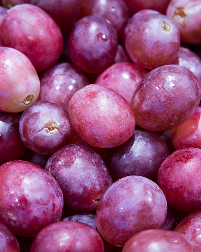 Bebida Jungle Uva Low Carb