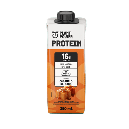 Shake Protein Caramelo Salgado 250ml