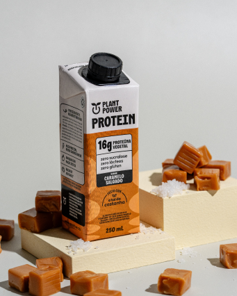 Shake Protein Caramelo Salgado 250ml